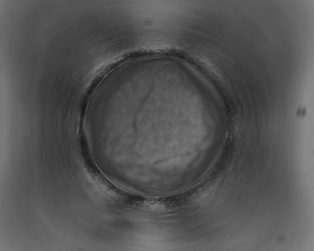 X0000092280640200710121404