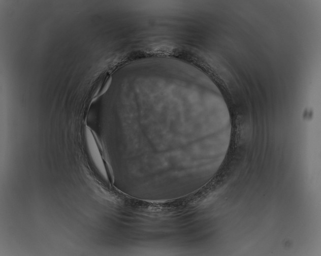 X0000092280641200710121404