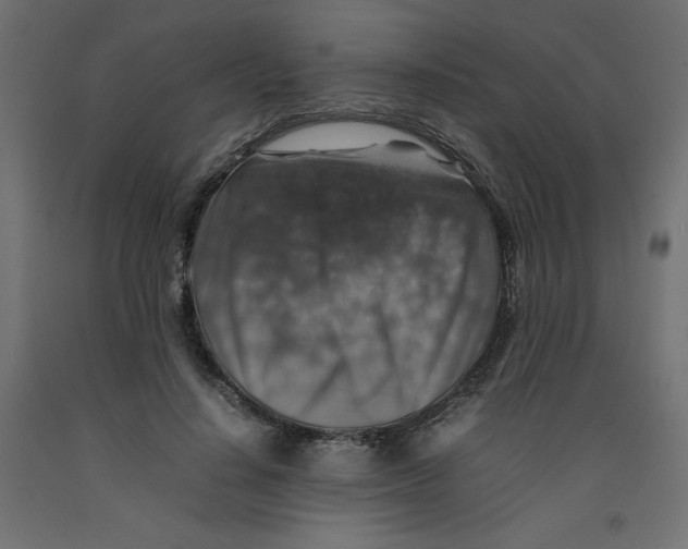 X0000092280644200710121404