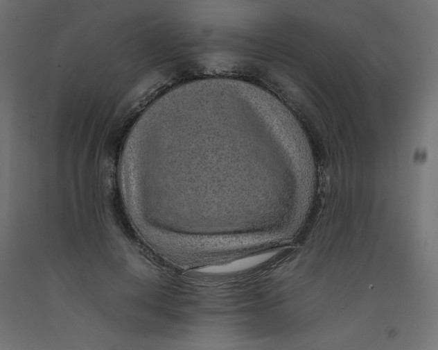 X0000092280648200710121404