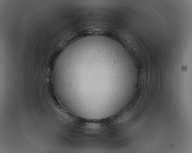 X0000092280649200710121405