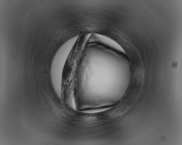 X0000092280651200710121405