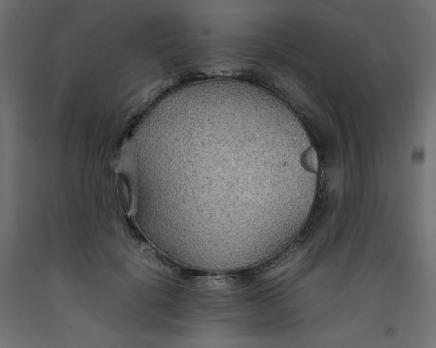 X0000092280652200710121405