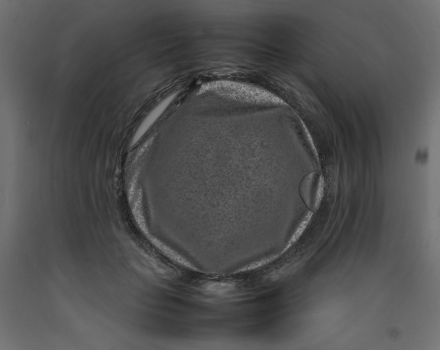 X0000092280653200710121405