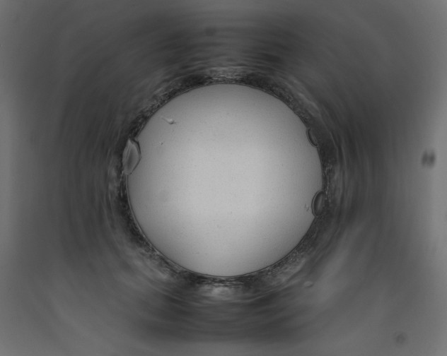 X0000092280655200710121405
