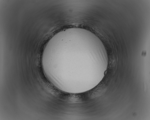 X0000092280656200710121405