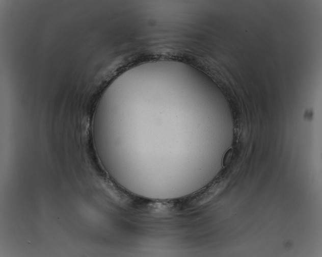 X0000092280660200710121405