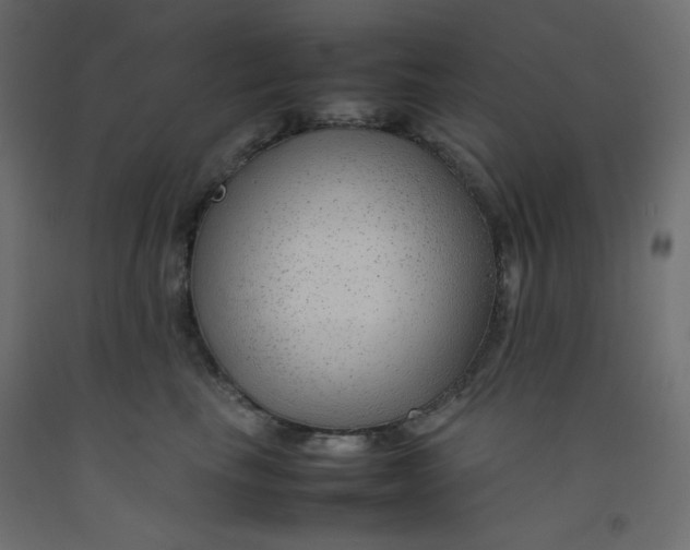 X0000092280665200710121405
