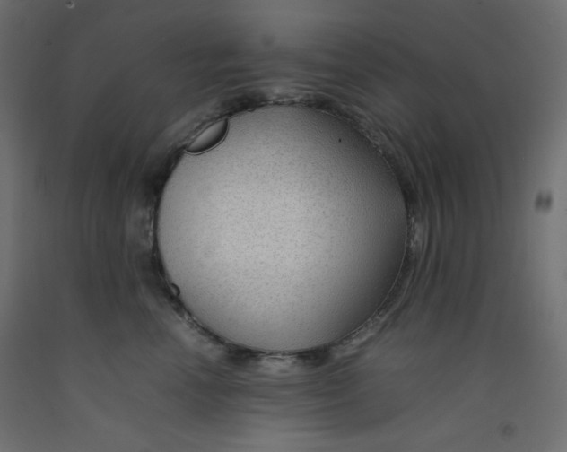 X0000092280666200710121405