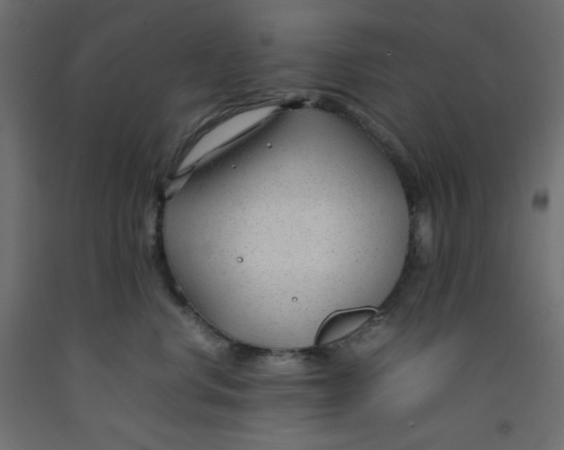 X0000092280668200710121405