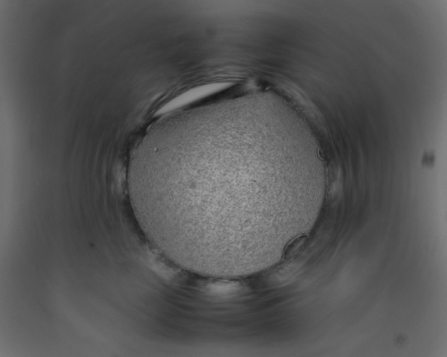 X0000092280669200710121405