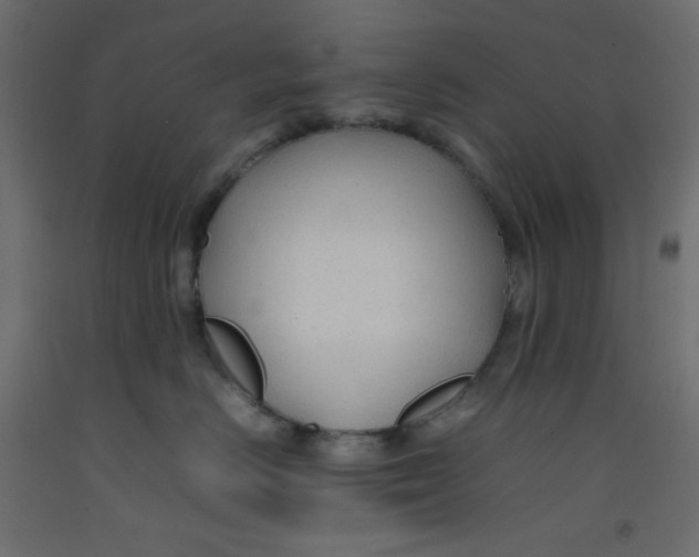 X0000092280670200710121405