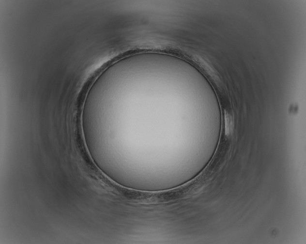 X0000092280675200710121404