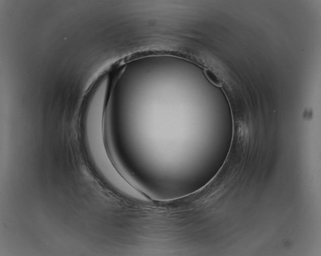 X0000092280676200710121404