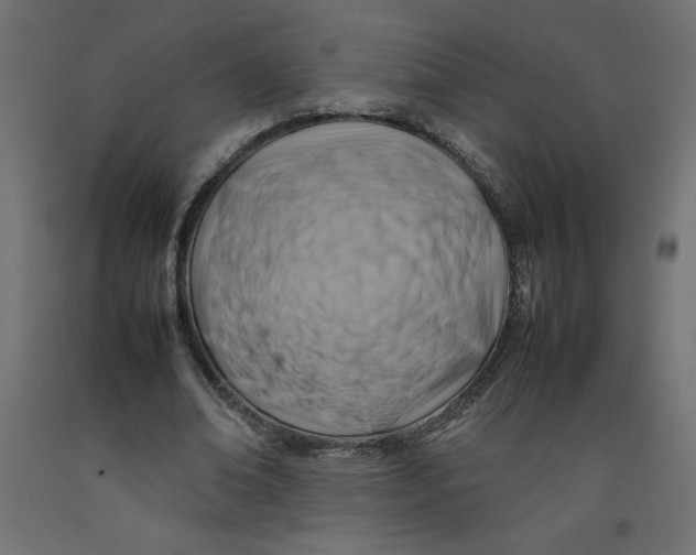 X0000092280678200710121404