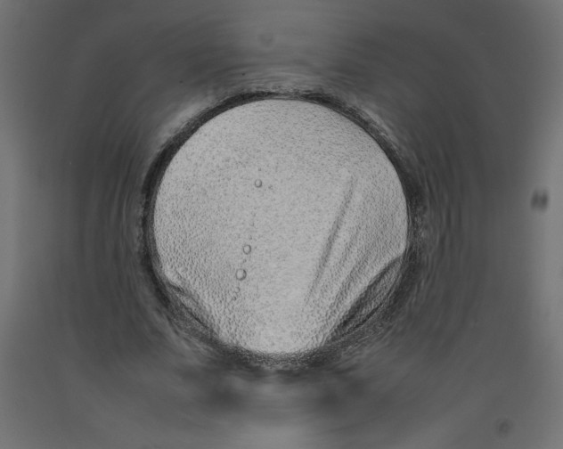 X0000092280679200710121404