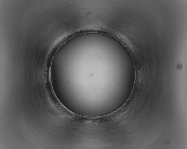 X0000092280680200710121404