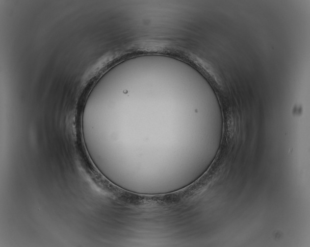 X0000092280682200710121404