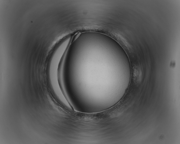 X0000092280684200710121404