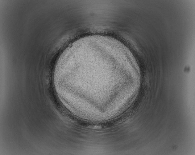 X0000092280687200710121404