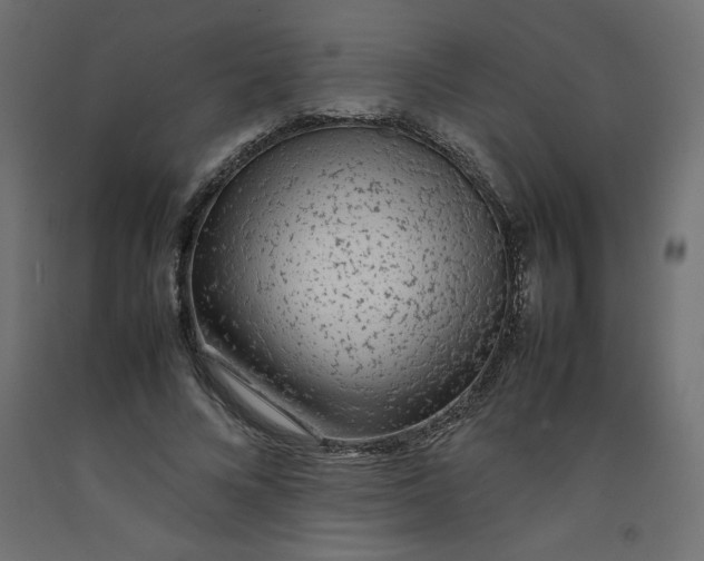 X0000092280688200710121404