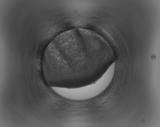 X0000092280689200710121404
