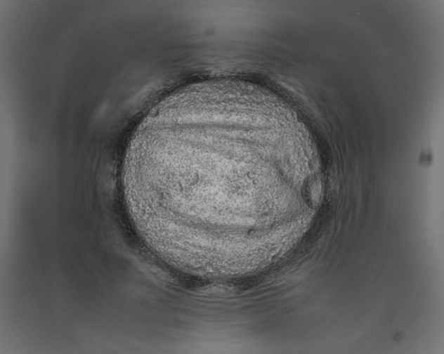 X0000092280691200710121404