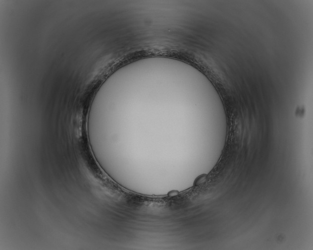 X0000092280694200710121404