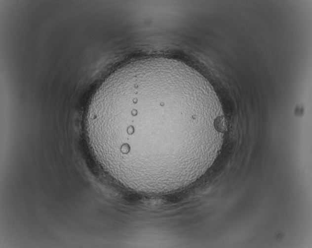 X0000092280695200710121404