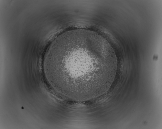 X0000092280696200710121404