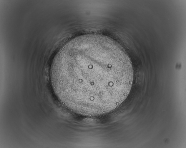 X0000092280699200710121404