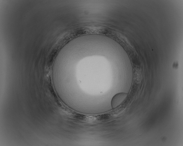 X0000092280701200710121404