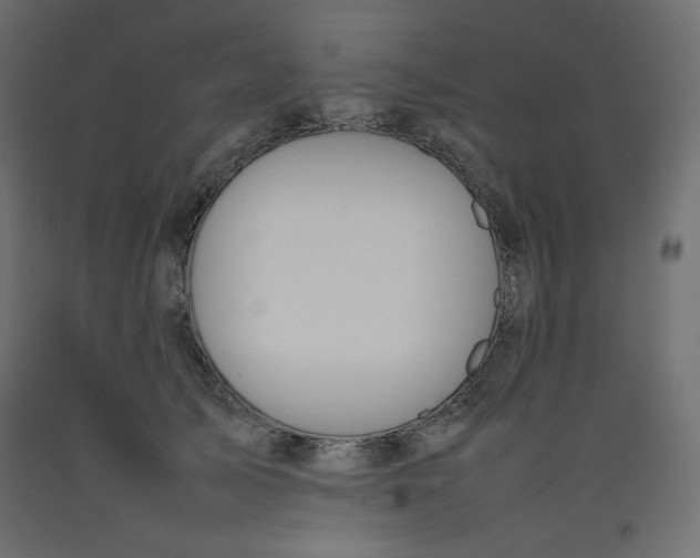 X0000092280705200710121404