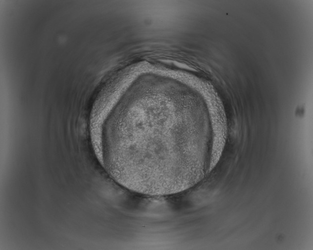 X0000092280715200710121404