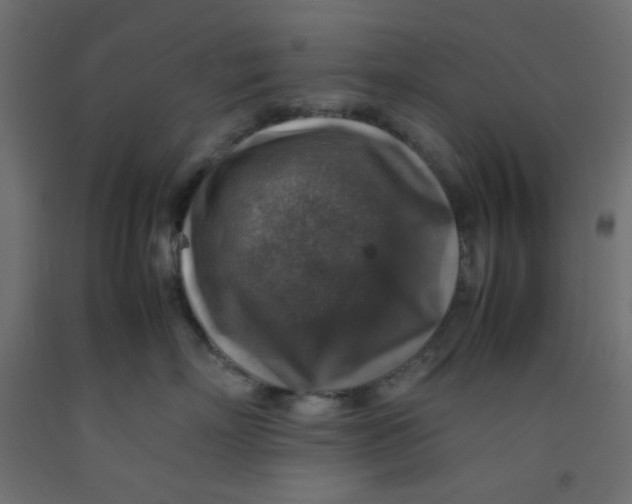 X0000092280718200710121403