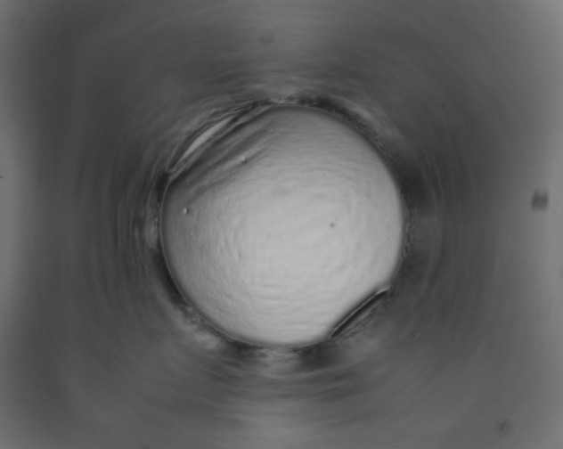X0000092280719200710121403