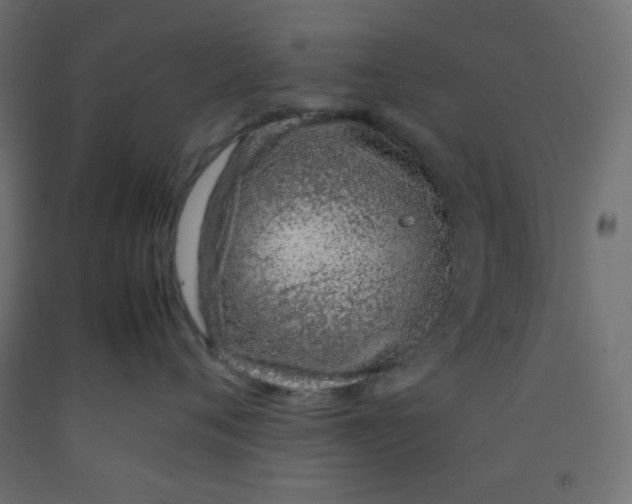 X0000092280720200710121403