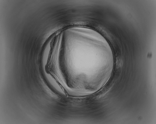 X0000092280725200710121403