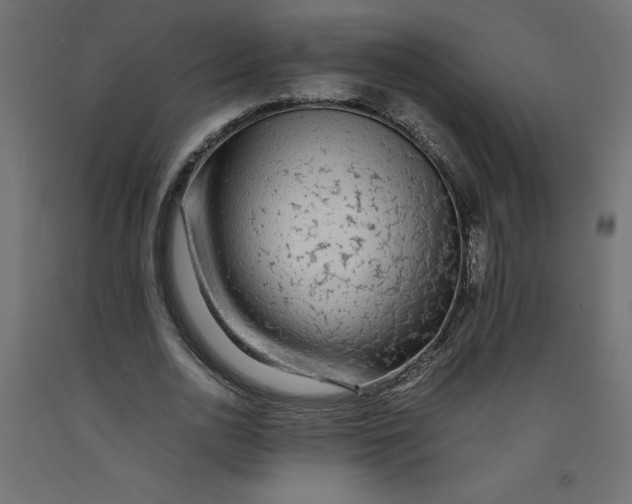 X0000092280726200710121403