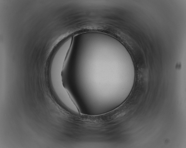 X0000092280727200710121403