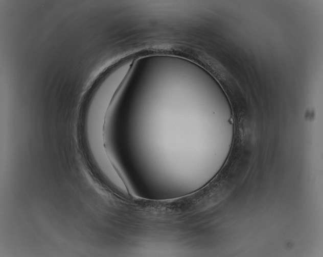 X0000092280728200710121403