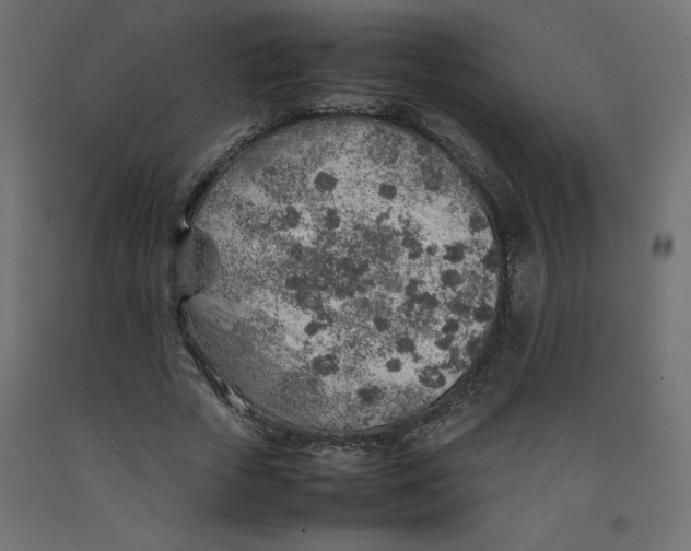 X0000092280729200710121403
