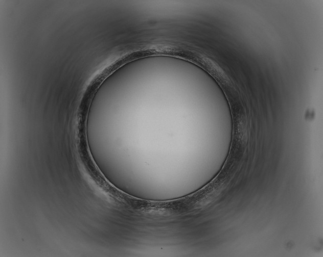 X0000092280730200710121403