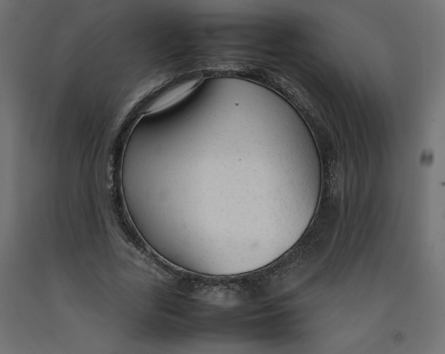X0000092280731200710121403