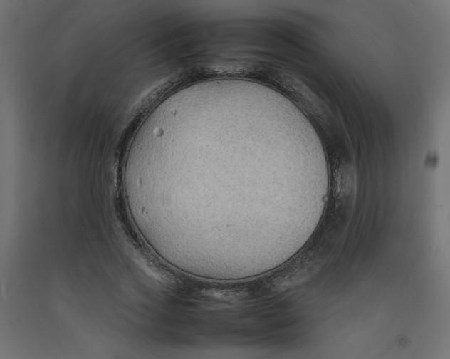 X0000092280733200710121403