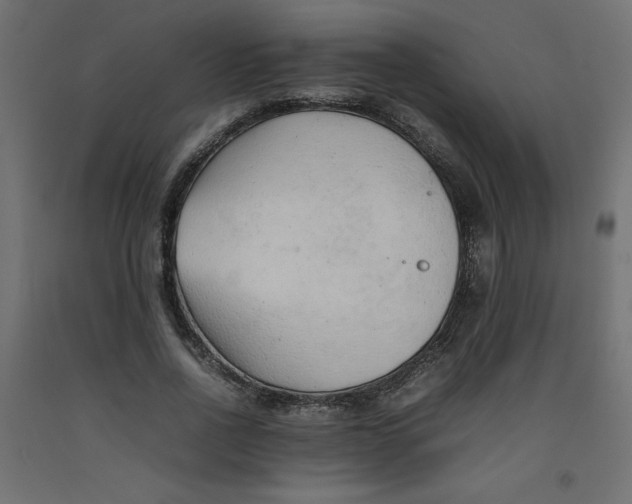 X0000092280734200710121403