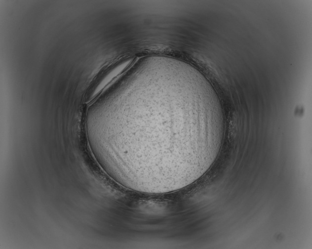 X0000092280739200710121403