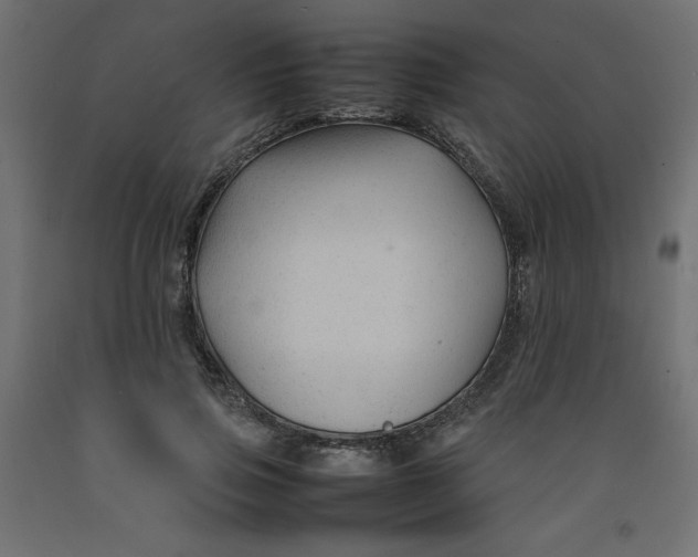 X0000092280741200710121403