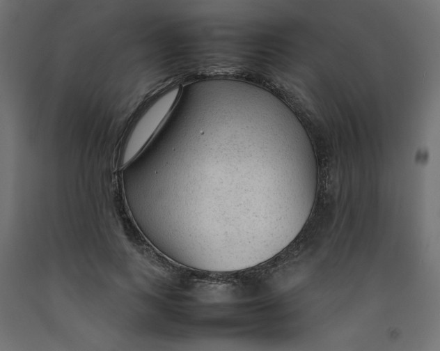 X0000092280743200710121403