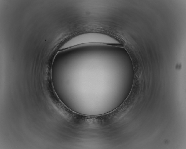 X0000092280744200710121403